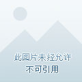 绝望之塔73层:惊心一刻! 绝望之塔73层:惊心一刻!