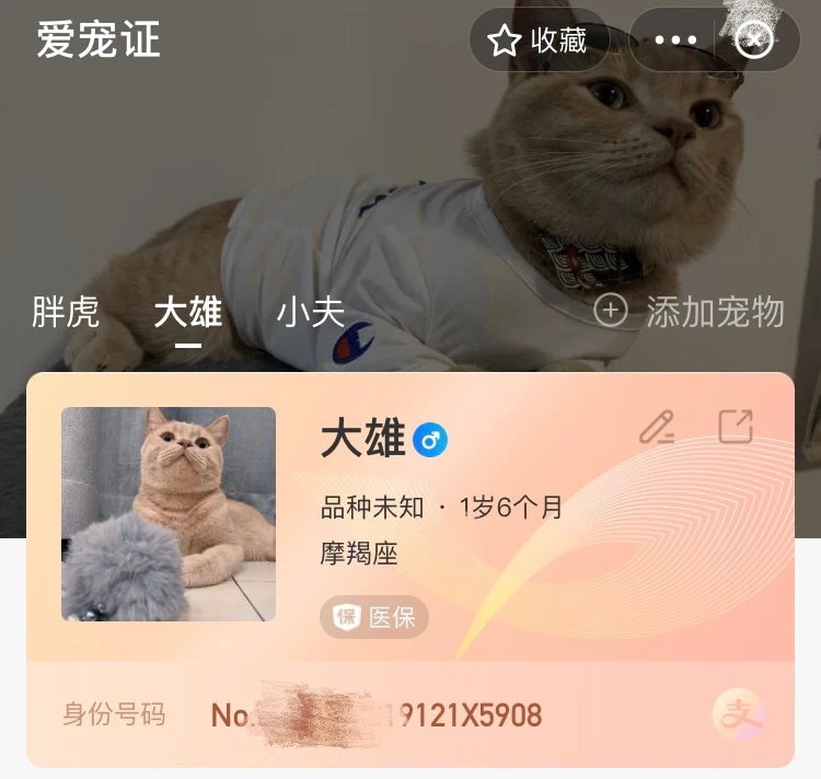 洛克王国宠物大全:每个宠物都有故事 洛克王国宠物大全:每个宠物都有故事