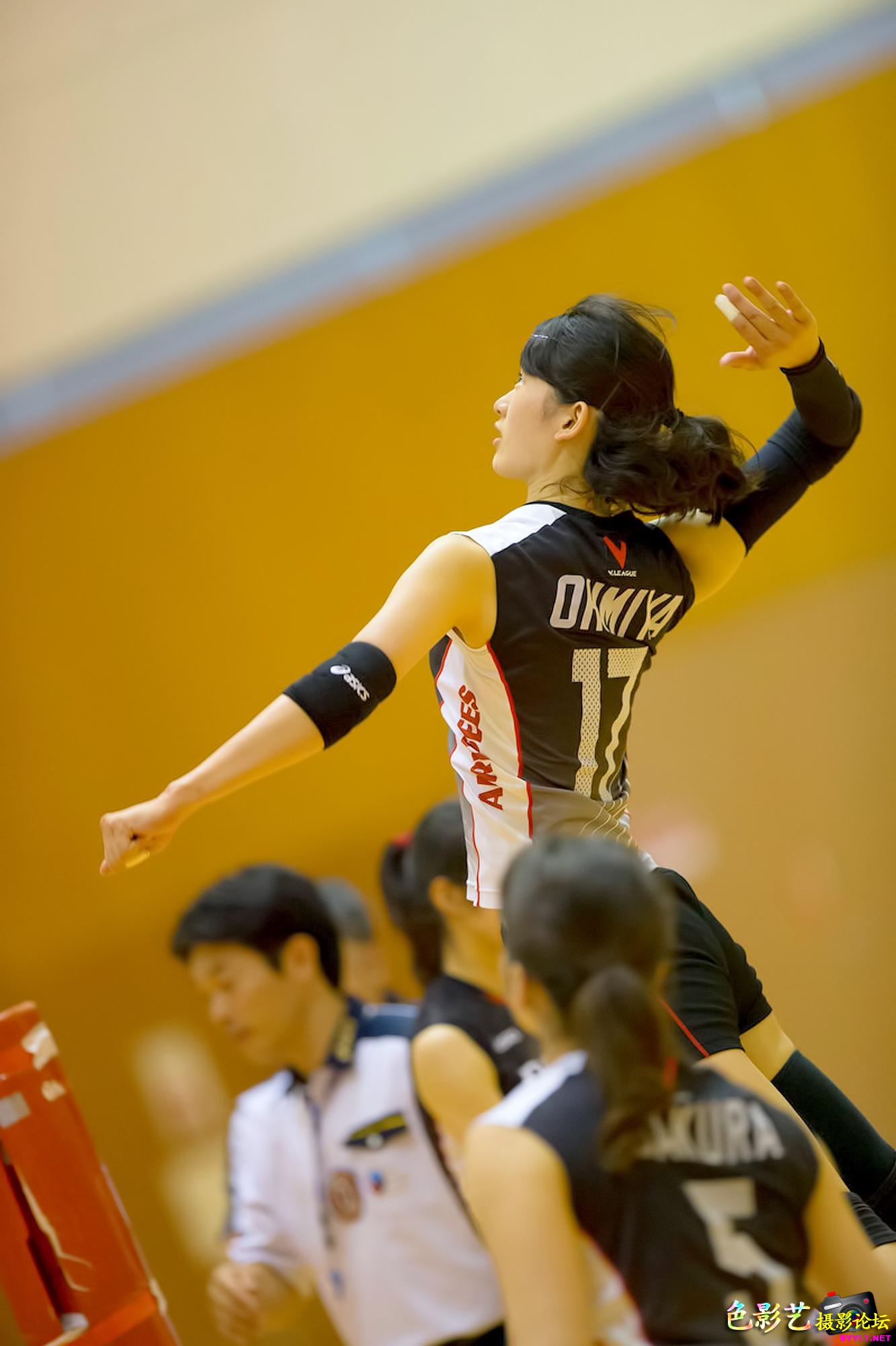 热血美女排球,激情沉浸! 热血美女排球,激情沉浸!