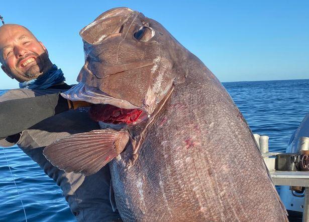 海钓大鱼视频_视频大鱼海钓视频大全_视频大鱼海钓教程