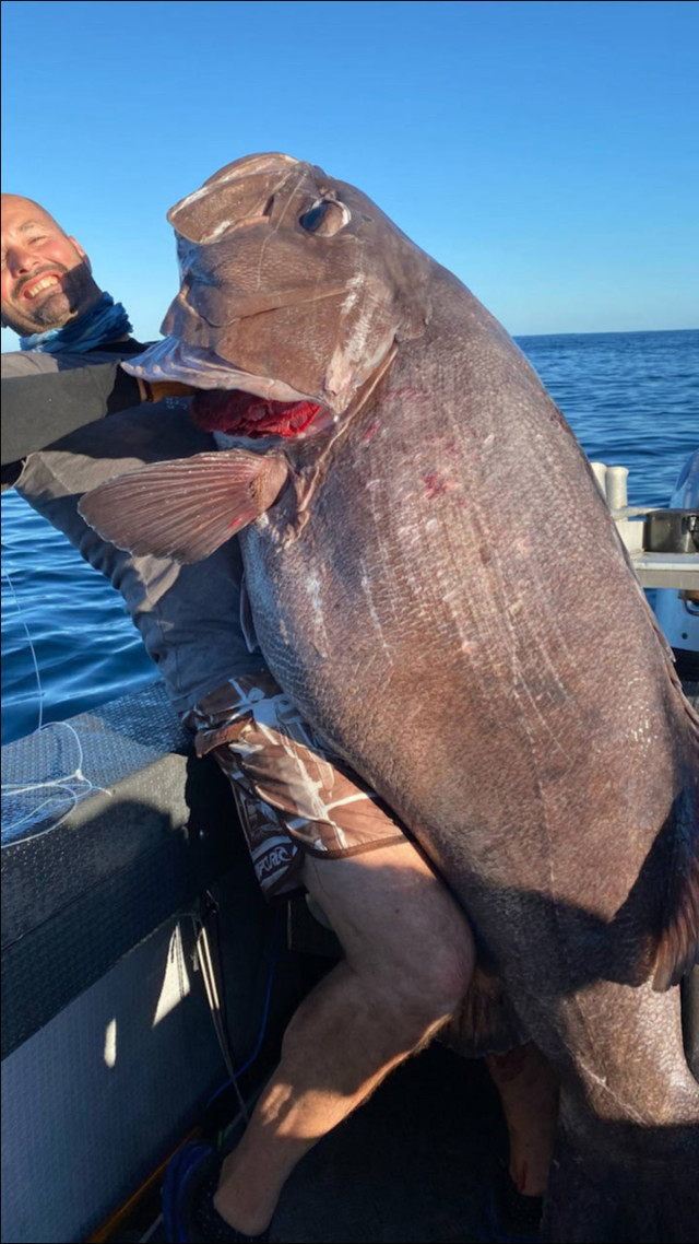 视频大鱼海钓视频大全_视频大鱼海钓教程_海钓大鱼视频