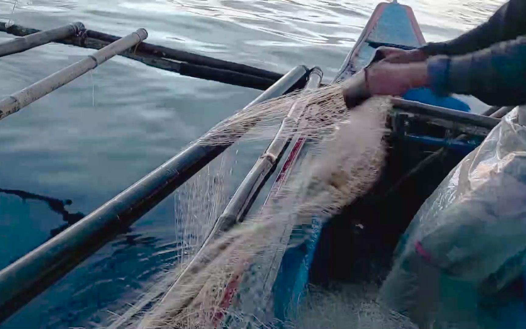 海钓大鱼视频_视频大鱼海钓教程_视频大鱼海钓视频大全