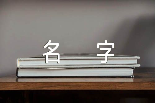 名字配对打分_配对名字测试_名字配配对