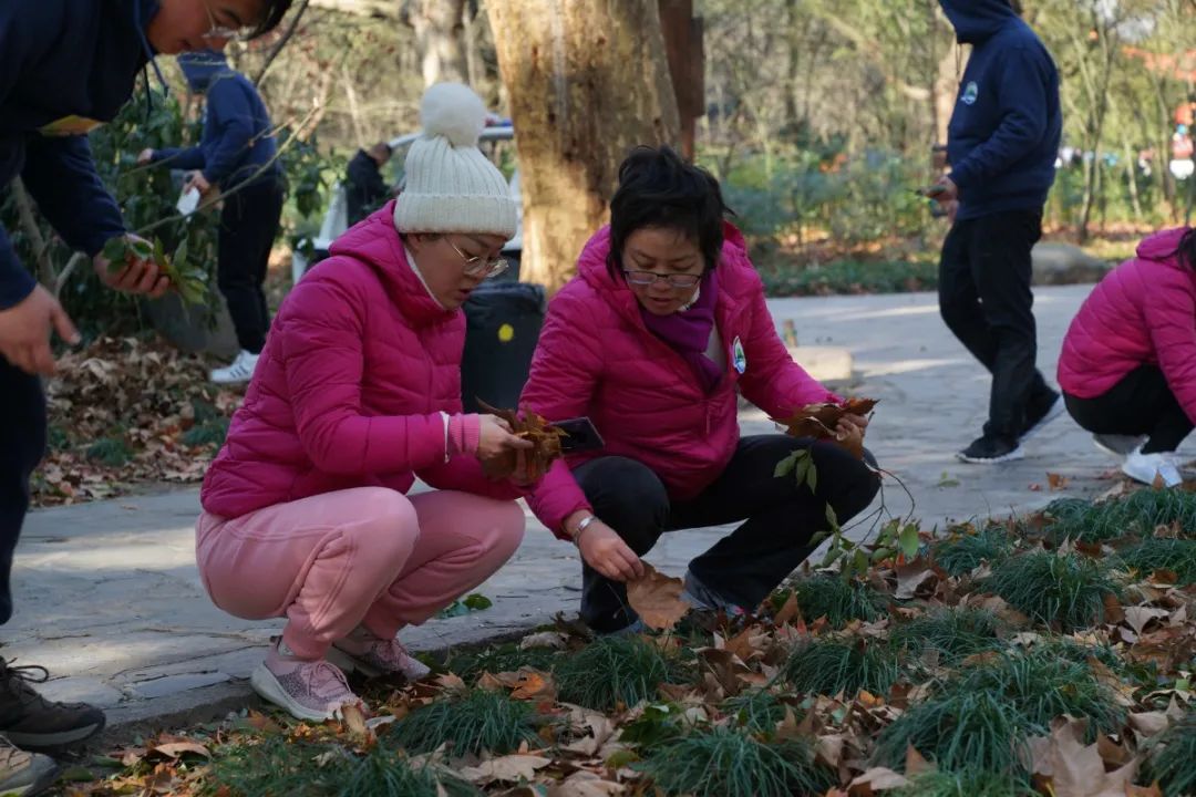 三九小游戏4399小游戏_39小游戏_四三九九游戏小游戏小孩