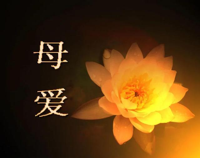 母亲，您是我生命中最温暖的太阳，无私奉献的化身