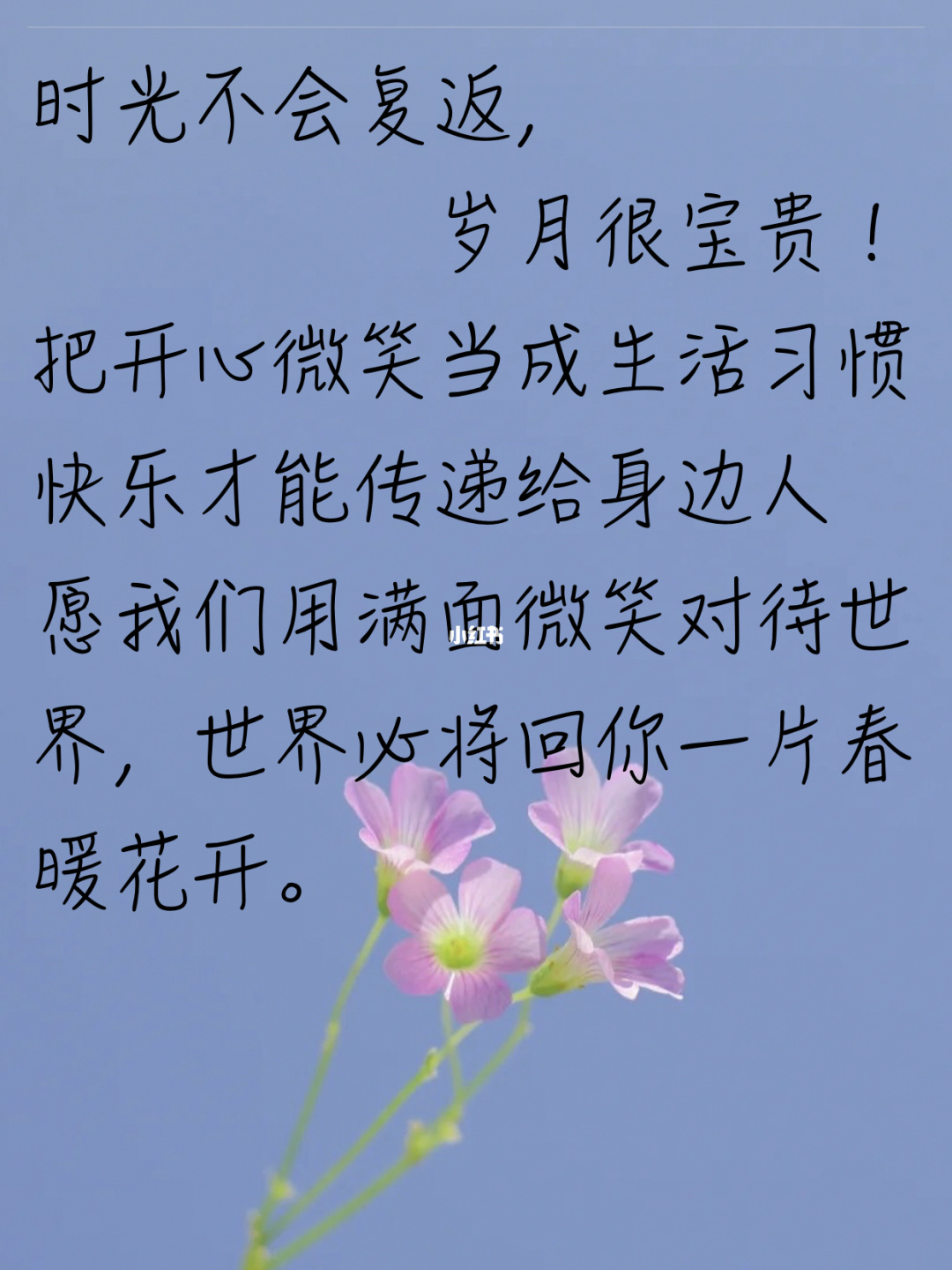 妙想奇思品牌设计(上海)_奇思妙想_妙想奇思的意思