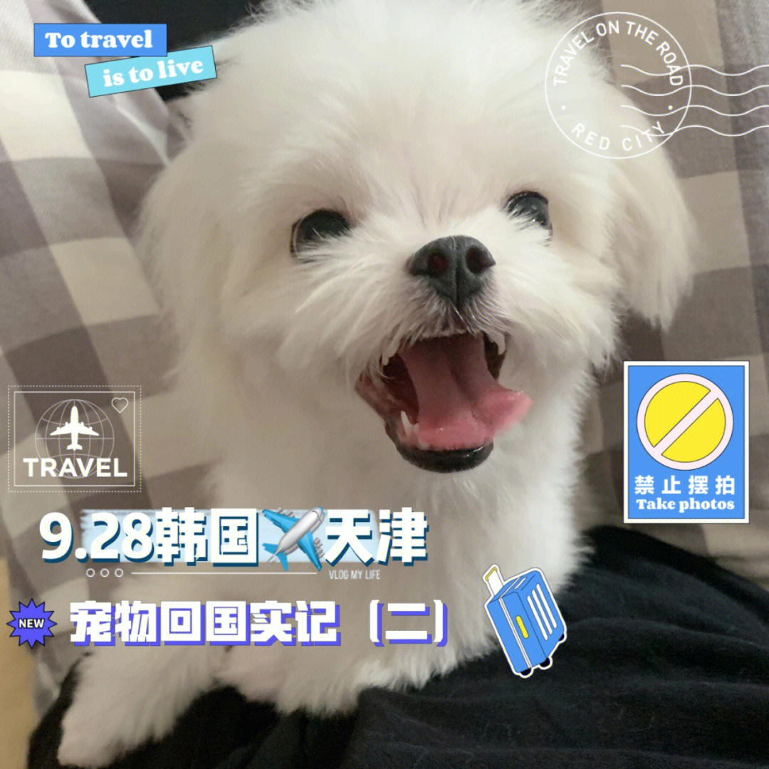 天津宠物网,与小伙伴共享快乐时光 天津宠物网,与小伙伴共享快乐时光