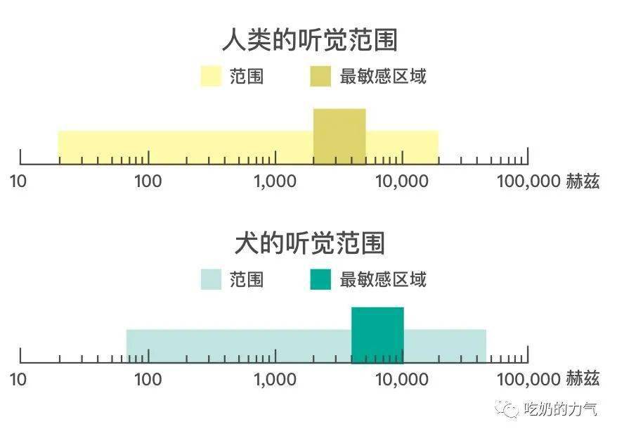 耳朵进水耳朵疼_耳朵进水了耳朵疼_一什么耳朵