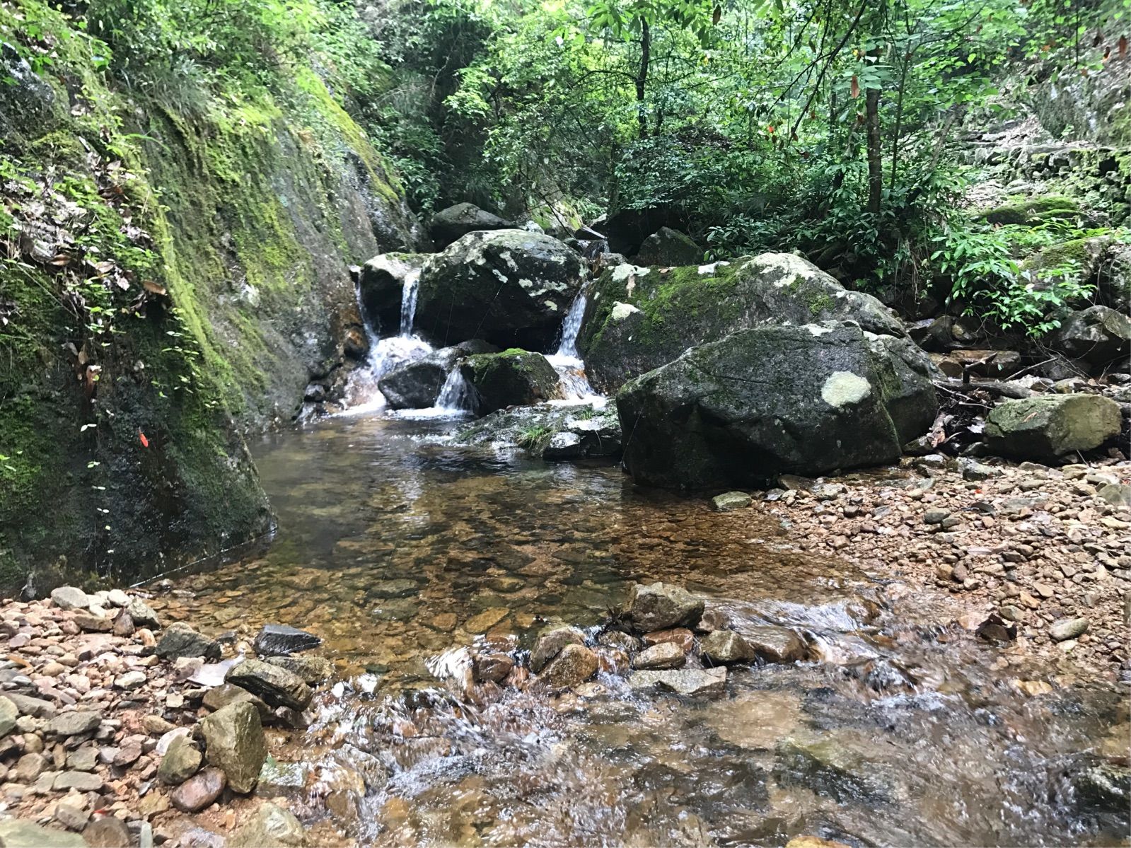 深山囚石,孤独之魂 深山囚石,孤独之魂