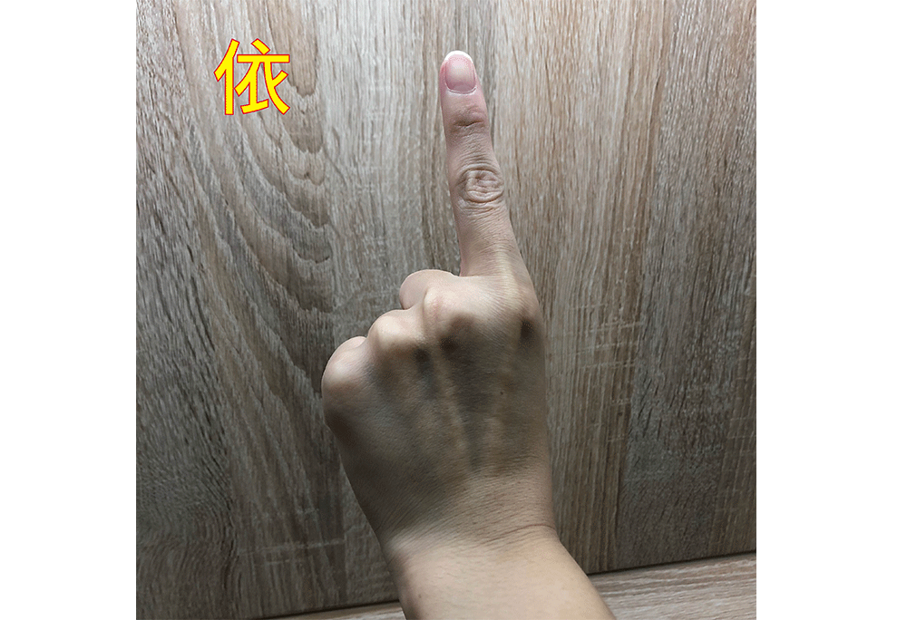 左手app最新下载_左手app最新下载_左手app最新下载