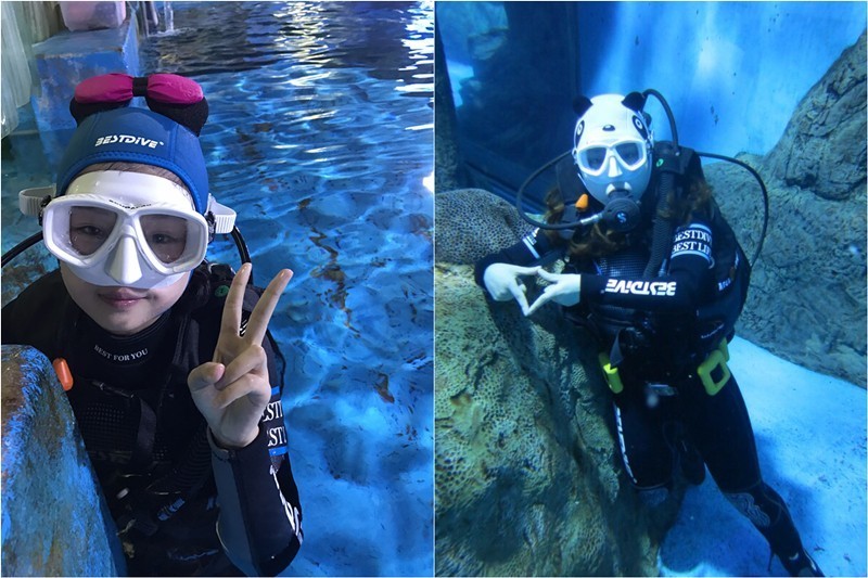 沉浸式海洋世界，体验海马模拟器的真实感