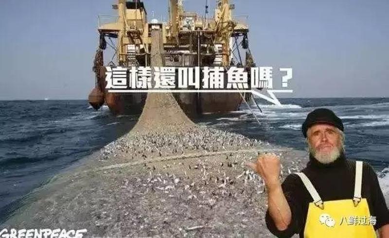 拯救小鱼_小鱼拯救视频游戏_小鱼拯救队