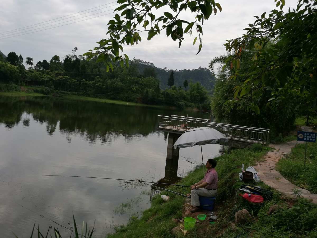 钓鱼游戏小班教案_钓鱼游戏小说_小游戏钓鱼