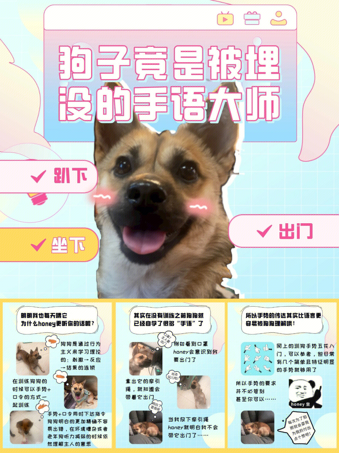 主人的命令是绝对的_主人命令是绝对的_主人命令是不是不能反抗
