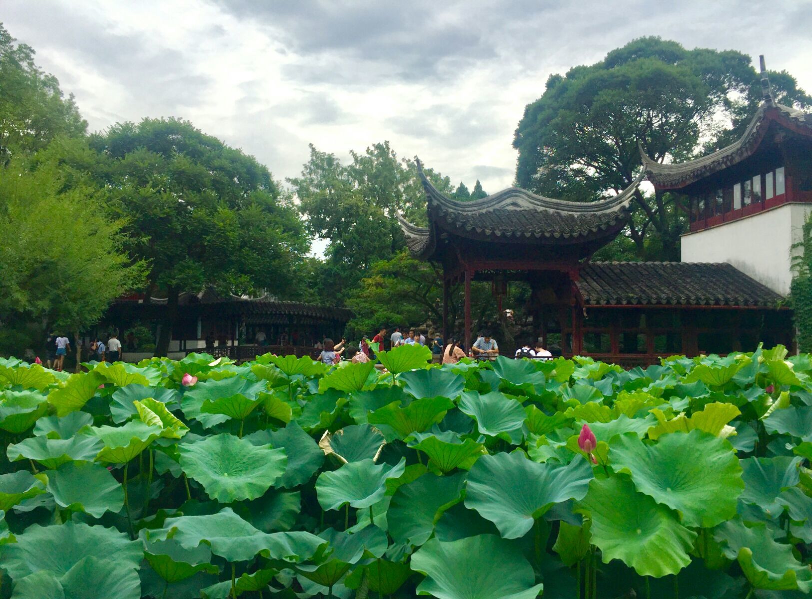 苏杭旅游景点哪些值得一去_苏杭旅游景点_苏杭的景点