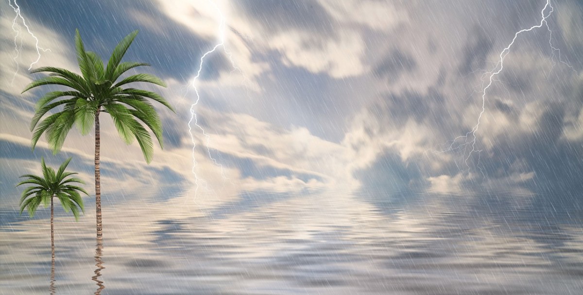 热带雨删减的视频在线观看_热带雨免费观看高清完整版_视频热带雨