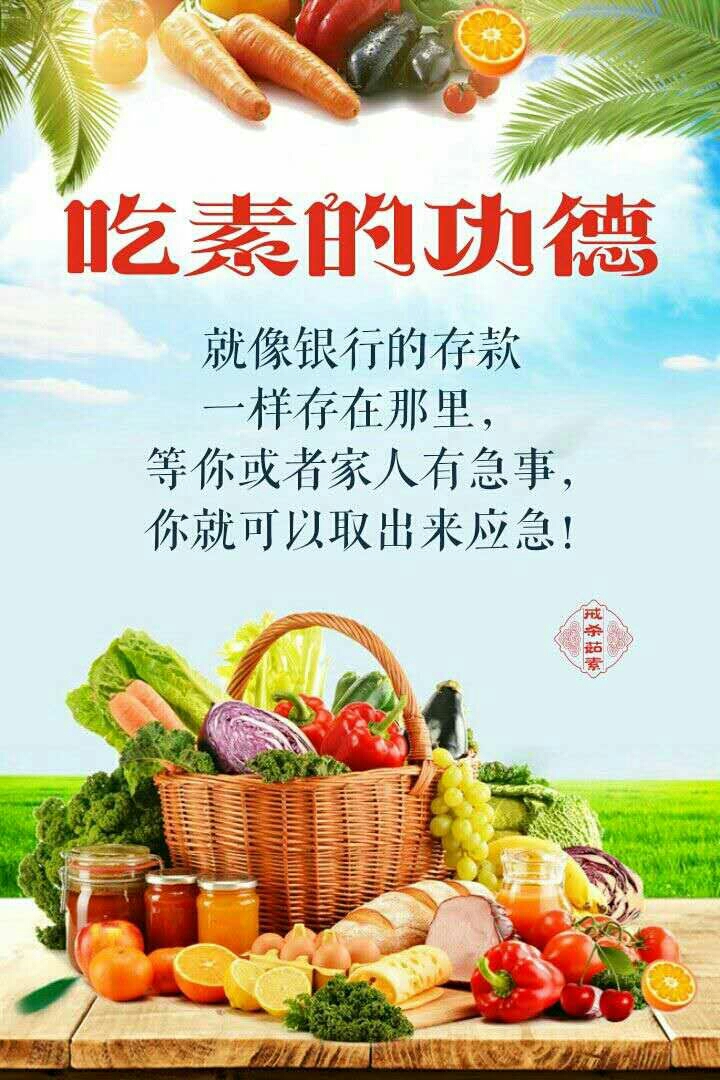 素食手机游戏_素食玩家什么意思_素食手机游戏大全