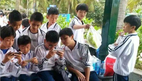 中小学生手机游戏_小学生少的手机游戏_适合小学生玩的手机小游戏