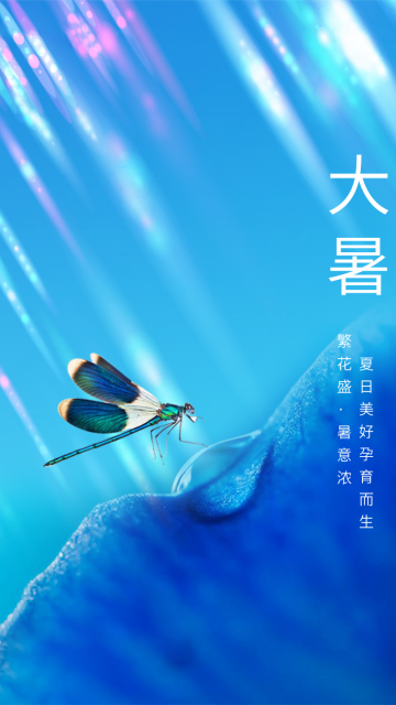 大暑节气的谚语_大暑节气彦语_大暑节气农谚