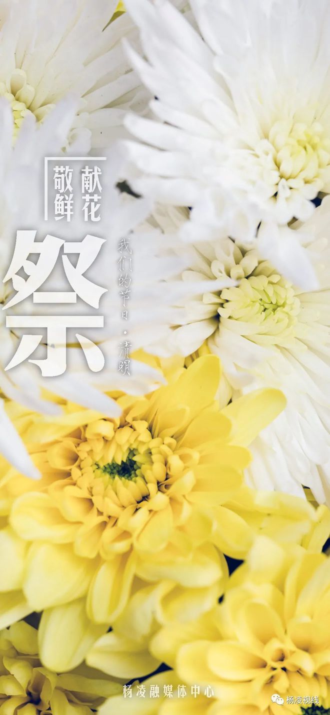 日历清明节休几天_日历清明放假_日历清明