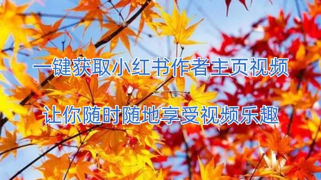 饭团看书换源版_看书书源_饭团看书怎么换源