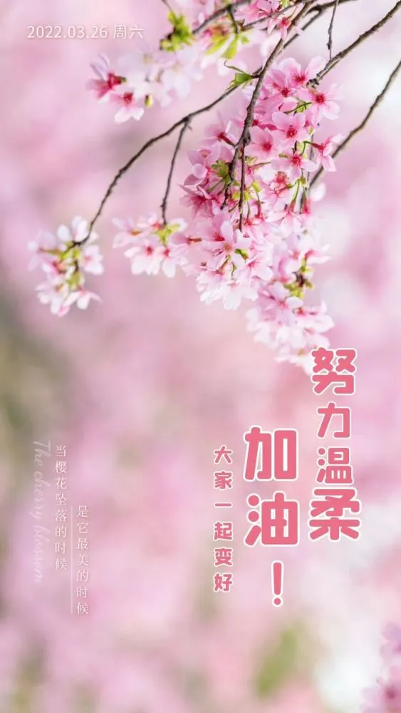 刘兴_兴刘推马武的拼音_兴刘推马武谏夏著龙逄什么意思