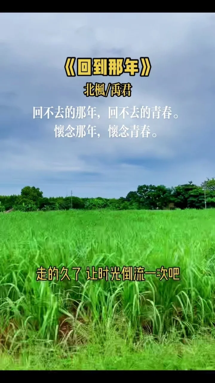 饭岛奈津美:一个名字,一段无法忘怀的记忆 饭岛奈津美:一个名字,一段无法忘怀的记忆