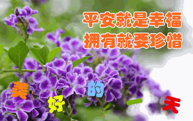 迪哥闯世界：五彩斑斓的探险之旅，充满热情与勇气