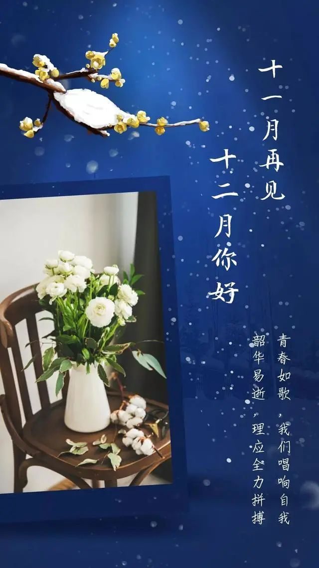 月日是啥意思_日和月是_11月25日是什么日子
