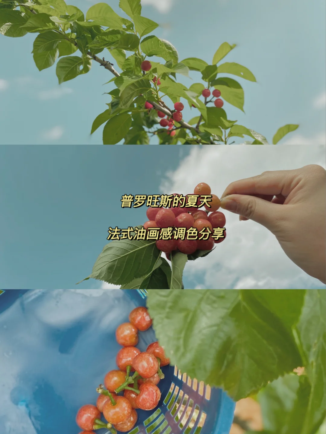 普罗旺斯夏天电影_普罗旺斯的夏天完整版迅雷_普罗旺斯的夏天在线观看完整版