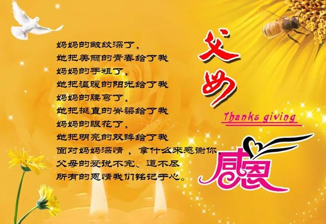 黎恩舒华泽喜欢谁_黎恩·舒华泽_黎泽林简历