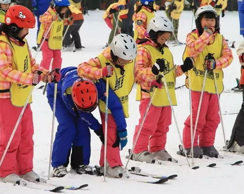 小学必背古诗词 小学必背古诗词