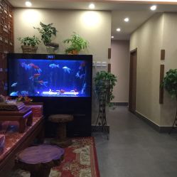 飞智游戏厅最新版 