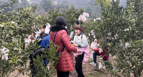 乐玩游戏盒子下载 
