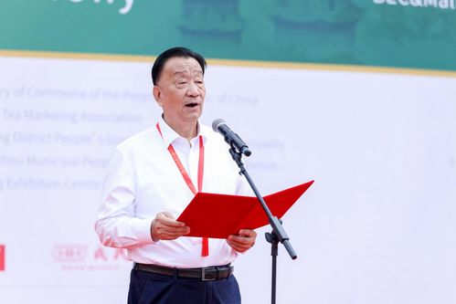 游戏王Neuron 