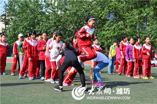 躺平发育游戏破解版无限金币 躺平发育游戏破解版无限金币