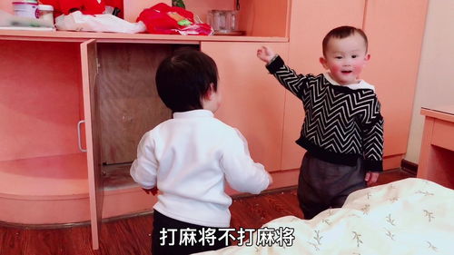 小晨软件库 