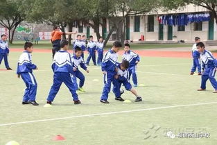 鸿运球球 