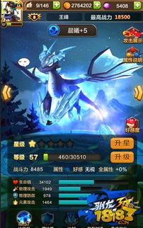 套龙的汉子 套龙的汉子