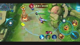 密聊猫聊天软件官网版 