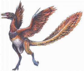 菜鸟游戏盒子app最新版下载安装 