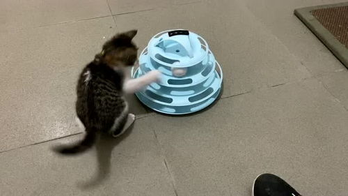 就喜欢你不喜欢我 