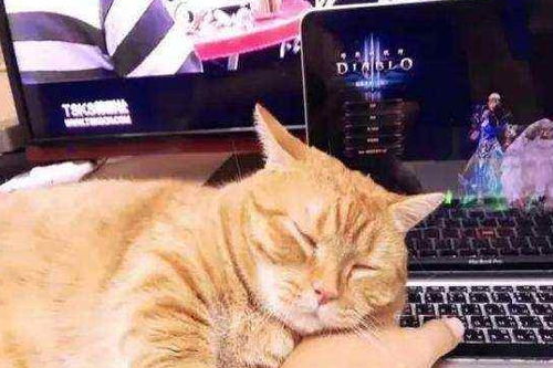 恐怖邻居怪谈游戏 